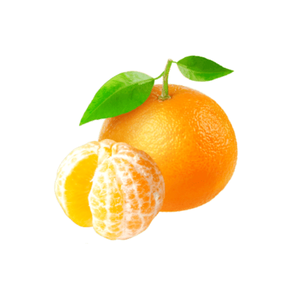 קלמנטינה