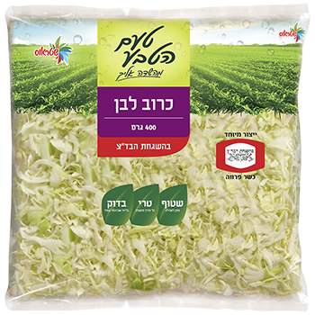 כרוב לבן