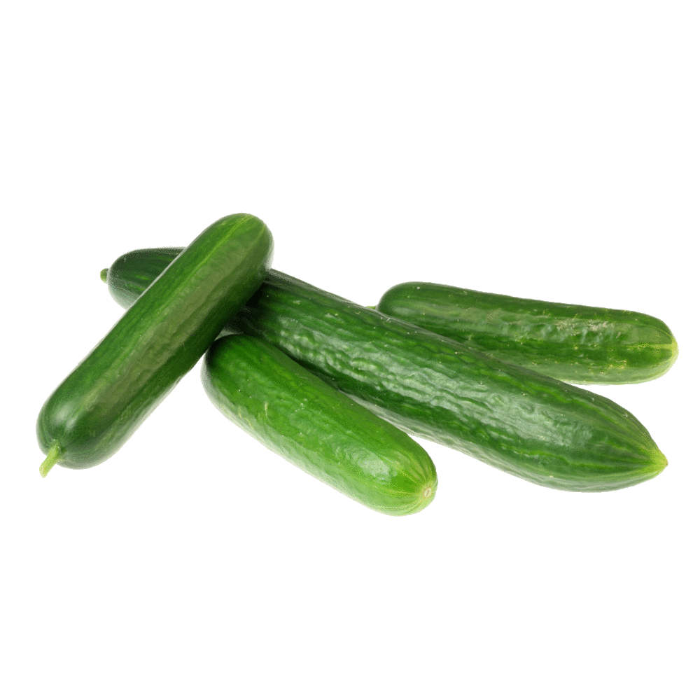 מלפפון