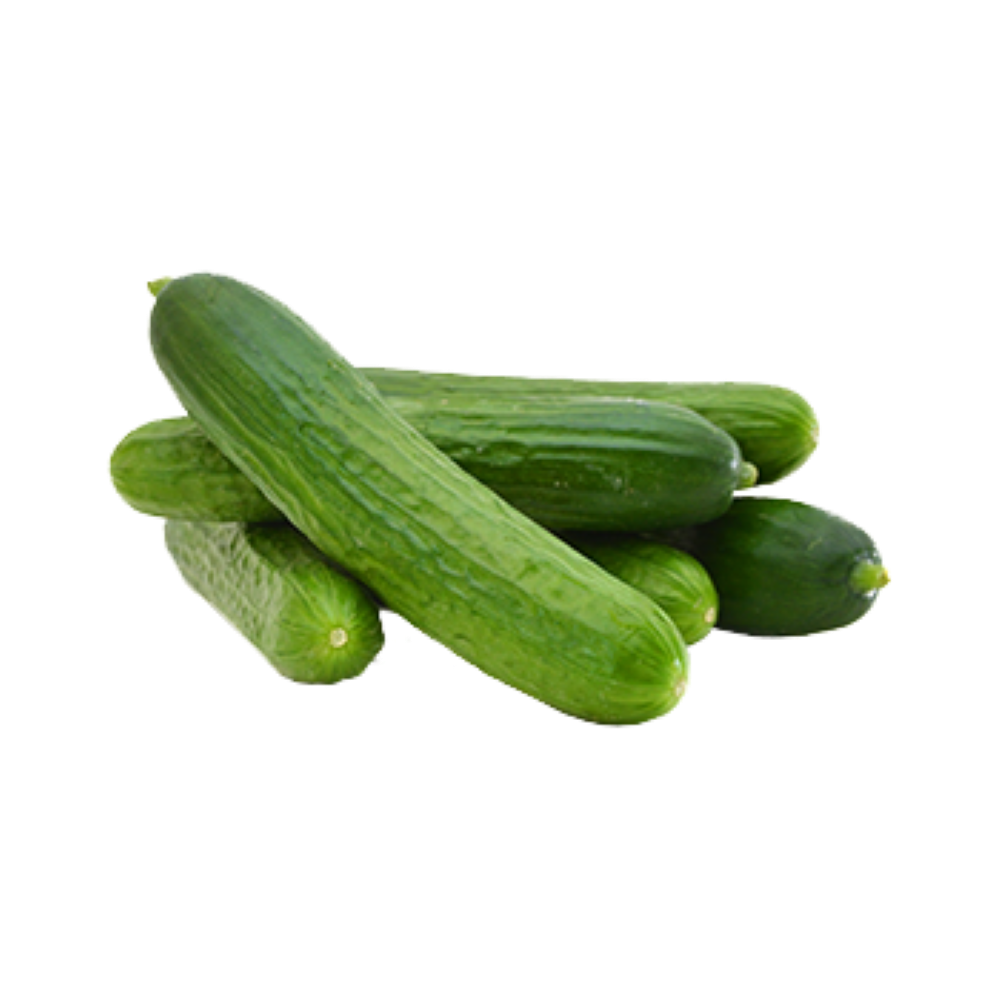 מלפפון בייבי