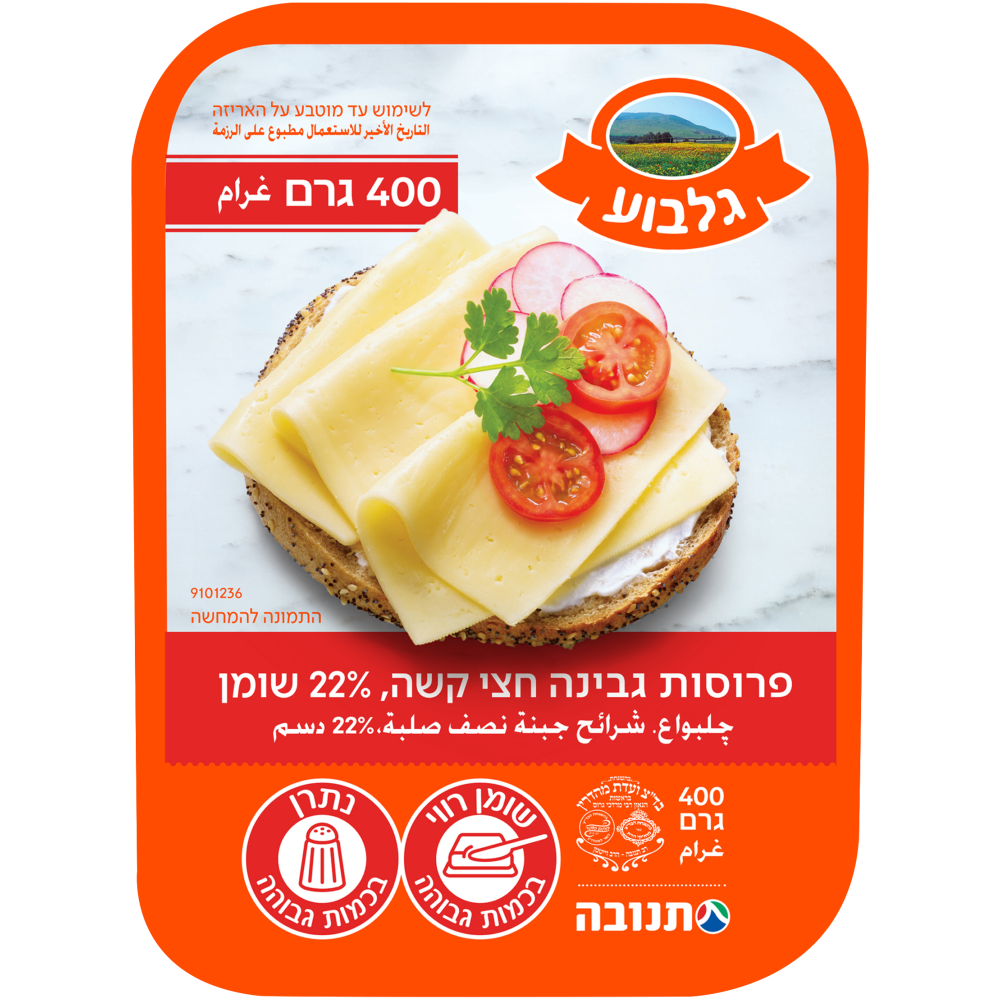 גבינה.צ גלבוע22% 400ג