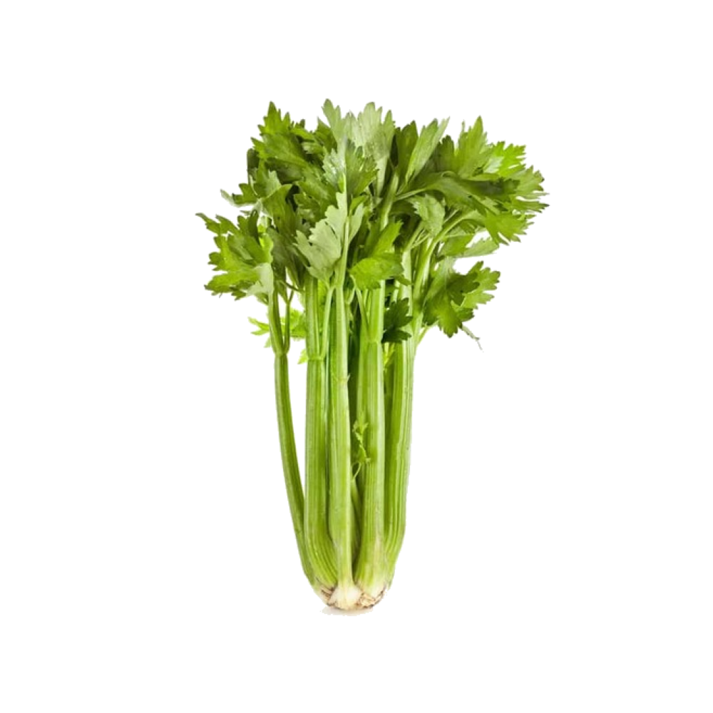 סלרי עלים
