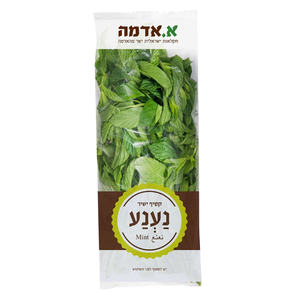 נענע ארוז