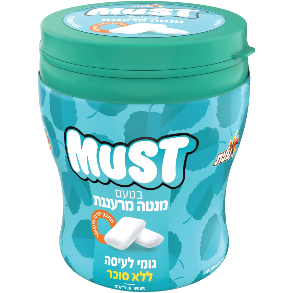 מסטיק Must