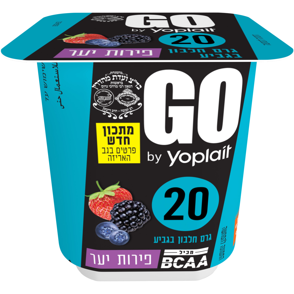 יוגורט GO יופלה פירות יער