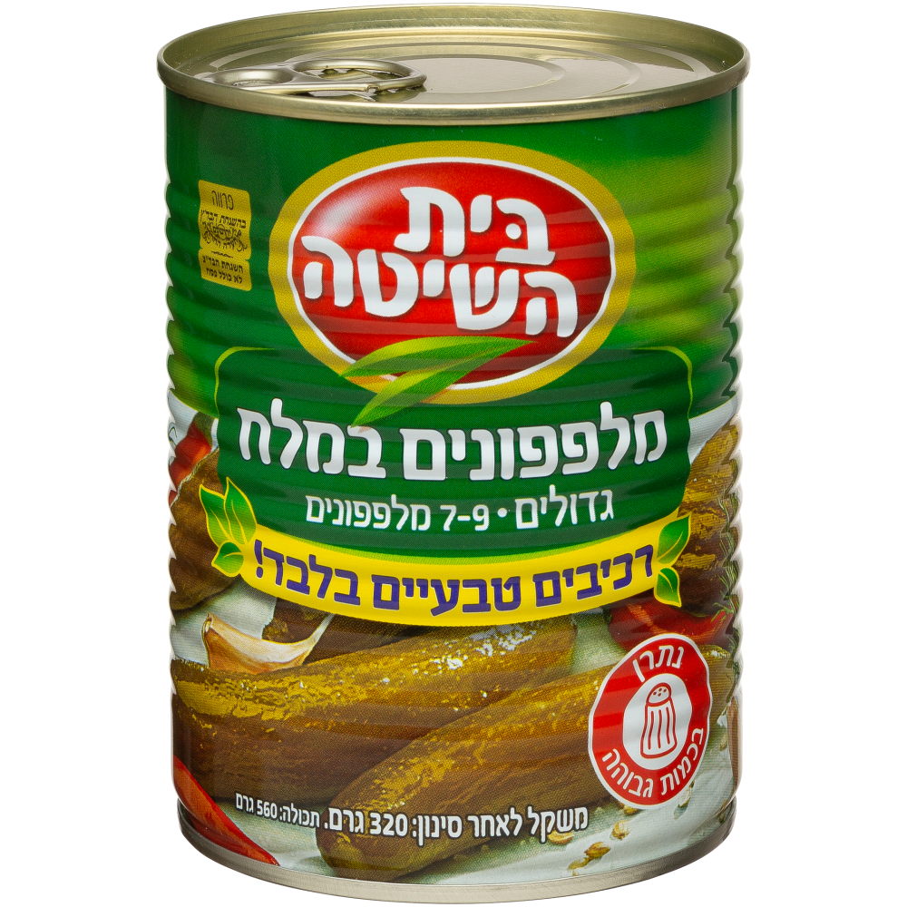 מלפפון במלח7-9 בית השיטה
